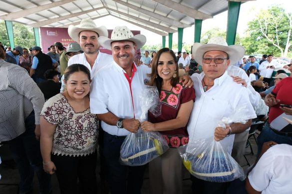 ec3c48ef-7688-4eb8-9081-68852049a64a