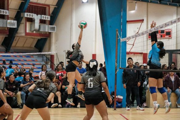 96021d32-636a-4768-903d-5be19ff352cd