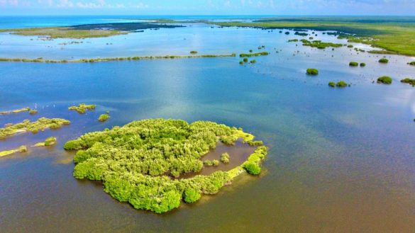 WhatsApp Image 2026-01-05 at 11.00.21 AM (3)