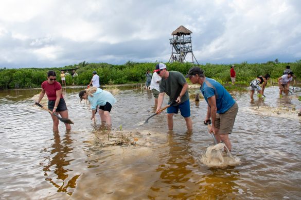 WhatsApp Image 2026-01-05 at 11.00.21 AM (4)