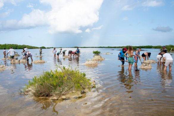 WhatsApp Image 2026-01-05 at 11.00.21 AM (5)