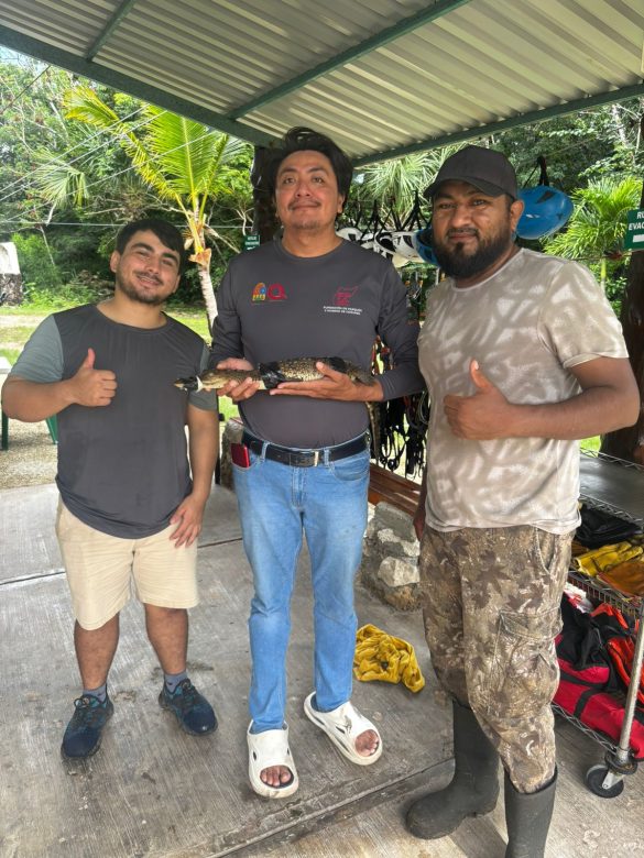 WhatsApp Image 2026-01-06 at 1.19.58 PM (1)