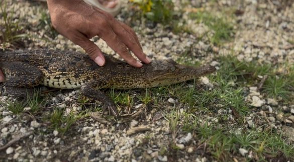 WhatsApp Image 2026-01-06 at 1.19.58 PM