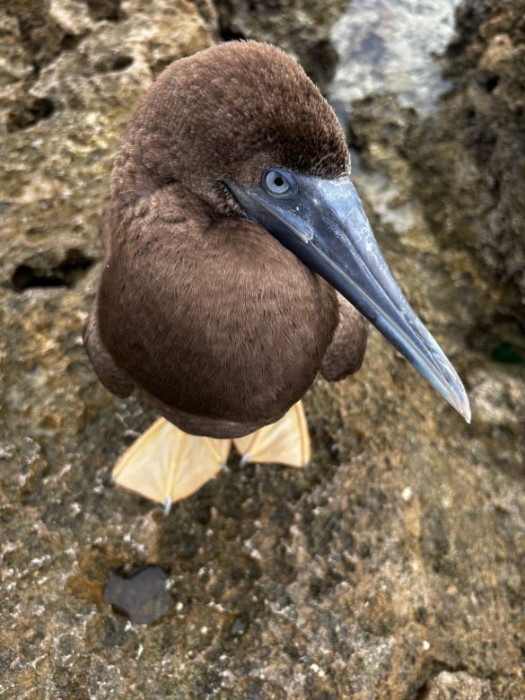 WhatsApp Image 2026-01-06 at 1.19.59 PM (1)