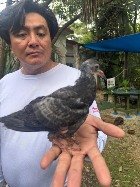 WhatsApp Image 2026-01-06 at 1.19.59 PM (3)