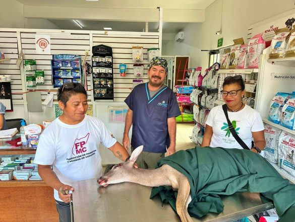 WhatsApp Image 2026-01-06 at 1.19.59 PM