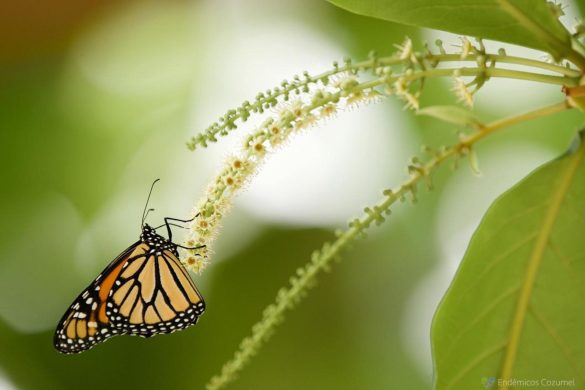 WhatsApp Image 2026-01-12 at 12.04.30 (1)