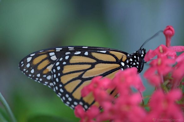 WhatsApp Image 2026-01-12 at 12.04.30 (2)