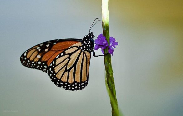 WhatsApp Image 2026-01-12 at 12.04.30 (3)