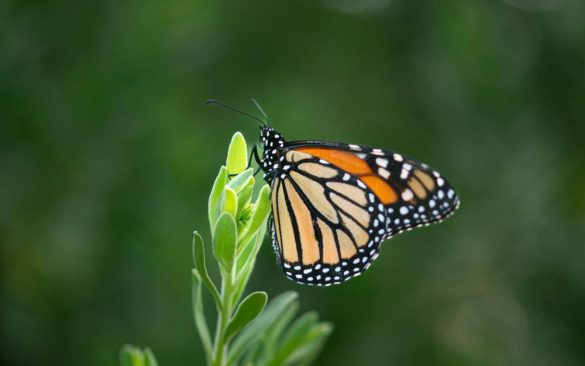 WhatsApp Image 2026-01-12 at 12.04.31