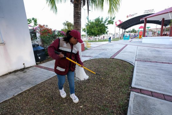 WhatsApp Image 2026-01-12 at 15.50.22