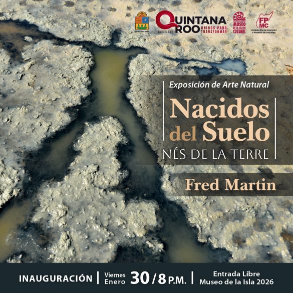 WhatsApp Image 2026-01-23 at 09.34.04