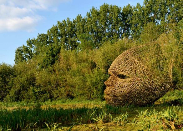 WhatsApp Image 2026-01-23 at 09.34.05 (1)