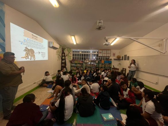 WhatsApp Image 2026-02-02 at 11.00.48 AM (2)