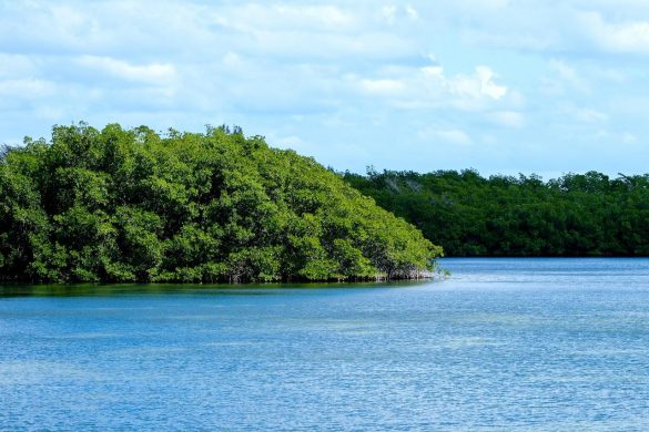 WhatsApp Image 2026-02-02 at 4.19.21 PM