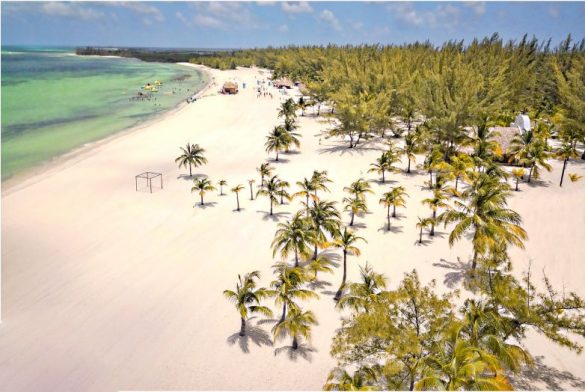 WhatsApp Image 2026-02-17 at 4.55.12 PM (1)