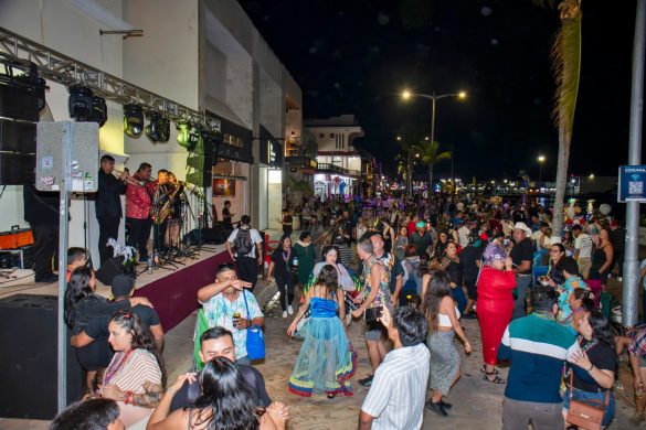 WhatsApp Image 2026-02-18 at 13.36.50 (3)