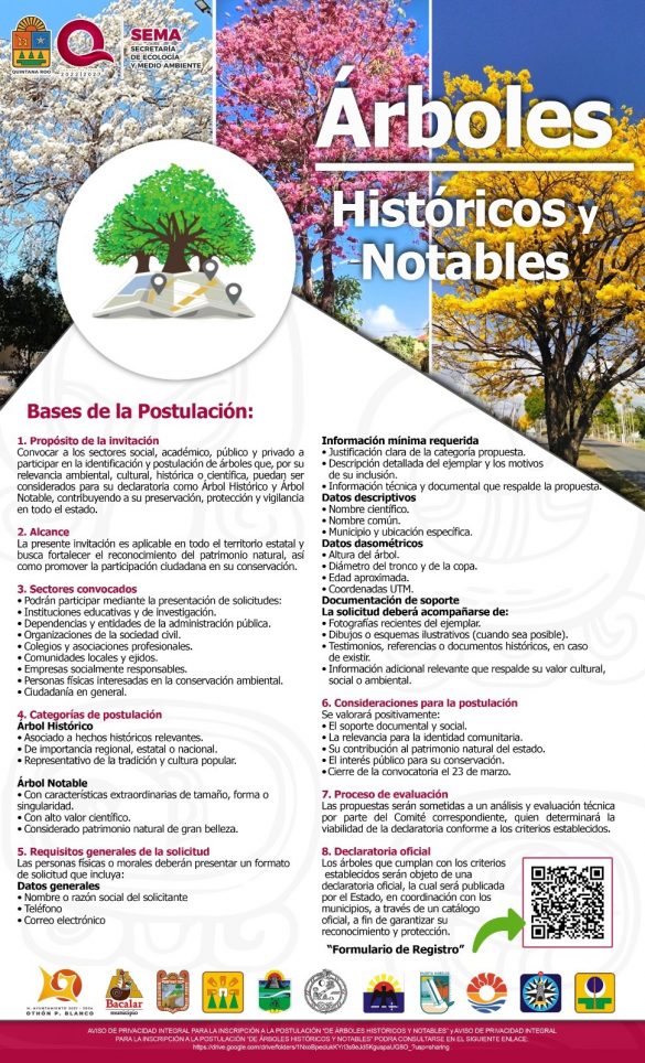 WhatsApp Image 2026-02-24 at 13.15.46 (1)