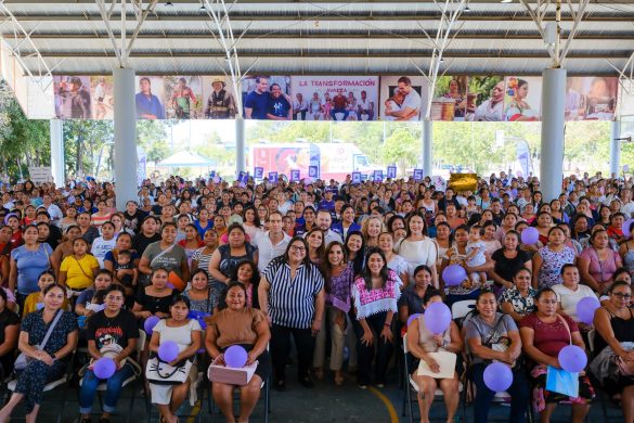 WhatsApp Image 2026-03-02 at 15.17.37