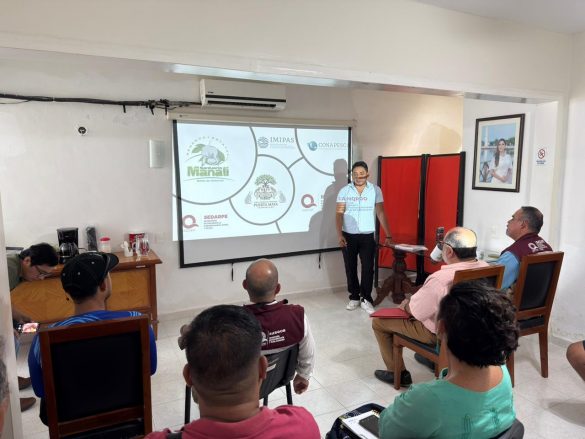 WhatsApp Image 2026-03-03 at 19.38.01 (1)