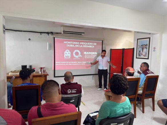 WhatsApp Image 2026-03-03 at 19.38.01