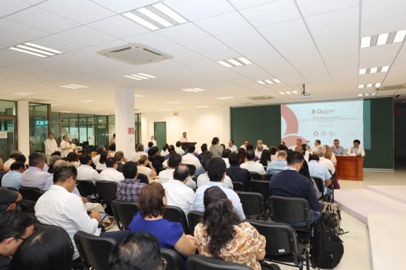 WhatsApp Image 2026-03-13 at 17.14.56 (1)