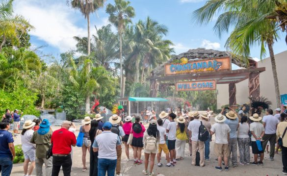 WhatsApp Image 2026-03-15 at 5.34.50 PM (1)