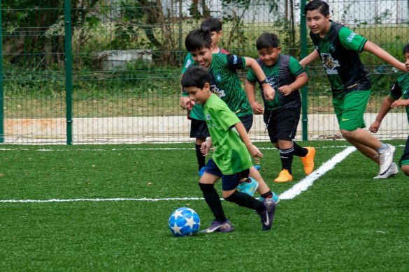 WhatsApp Image 2026-03-30 at 17.49.43 (1)