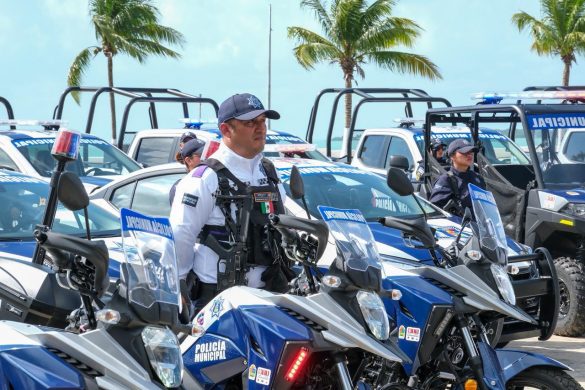 WhatsApp Image 2026-03-31 at 14.09.25