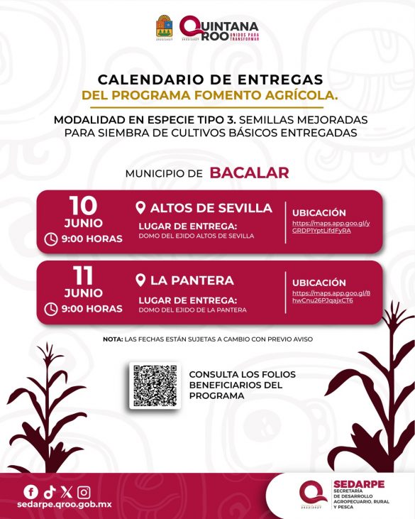 WhatsApp Image 2026-06-03 at 12.22.56 (1)